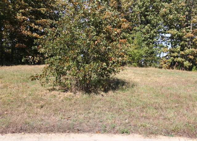 Property at 000 Wild Turkey Rd Unit Block 1 Lot 2, West Plains, MO 65775