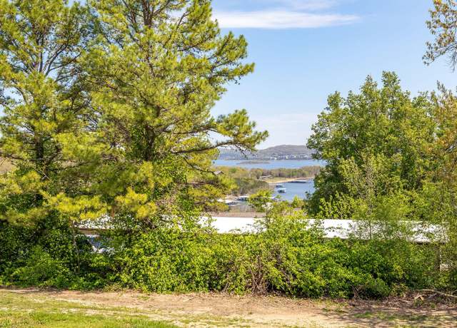 Property at 28 Adams Ln, Blue Eye, MO 65611