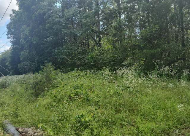 Property at Lot142 143 Farm Road 1255, Shell Knob, MO 65747