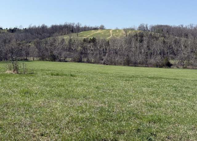 Property at 000 Harmony Rd, Seymour, MO 65746