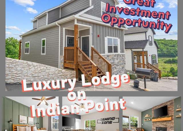 Property at 156 David Shawn Dr, Indian Point, MO 65616, 5 beds, 4 baths