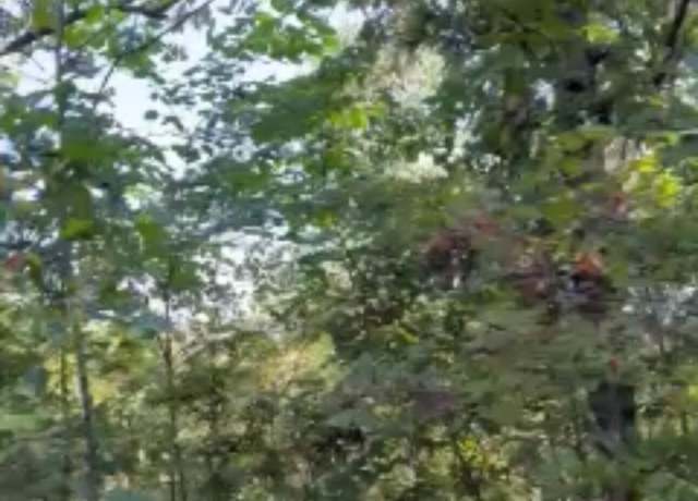 Property at 000 State Hwy C Unit Tract 12, Purdy, MO 65734