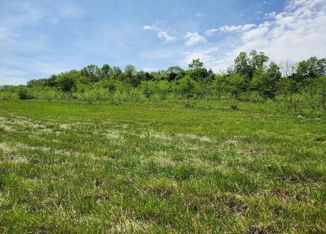 Property at 000 River Pass Drive Lot 4 Phase 1, Marshfield, MO 65706