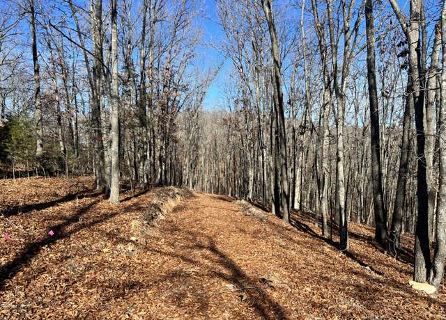 Property at 5200 State Highway 173, Cape Fair, MO 65624