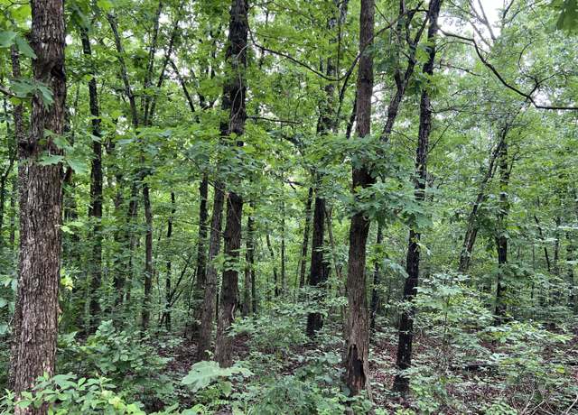 Property at 000 Highway 63 South, Mammoth Spring, AR 72554