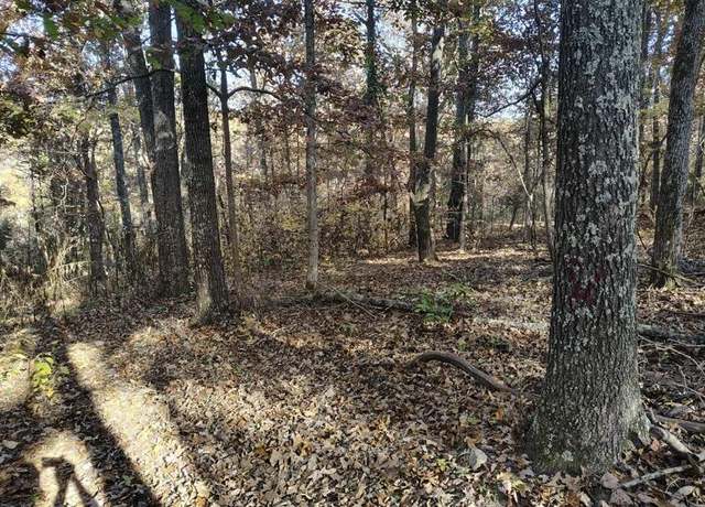 Property at 000 000 State Route Yy, Caulfield, MO 65626