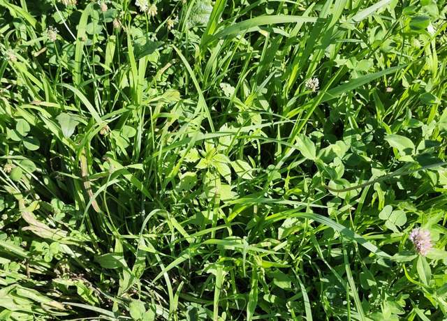 Property at C-000 Tbd, Grovespring, MO 65662