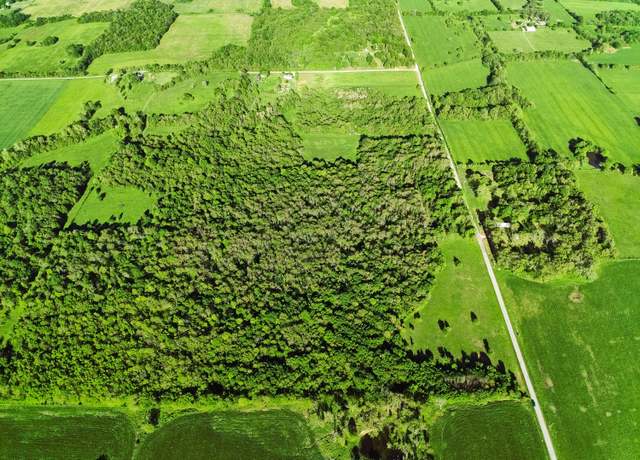 Property at Tbd Lawrence 2190, Pierce, MO 65723