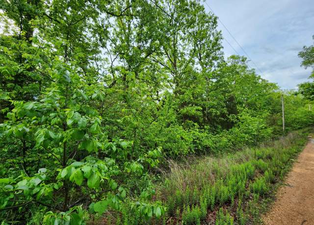 Property at Tract 4 Easy St, Pittsburg, MO 65724