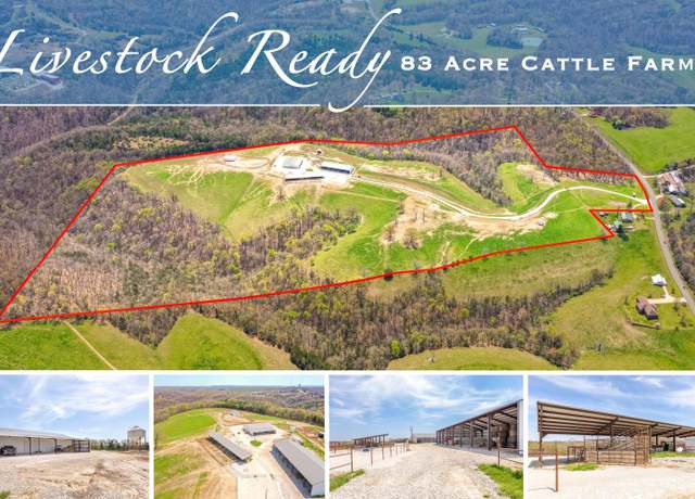 Property at 10872 E State Highway 86, Blue Eye, MO 65611