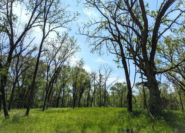 Property at 000 State Highway 248, Galena, MO 65656
