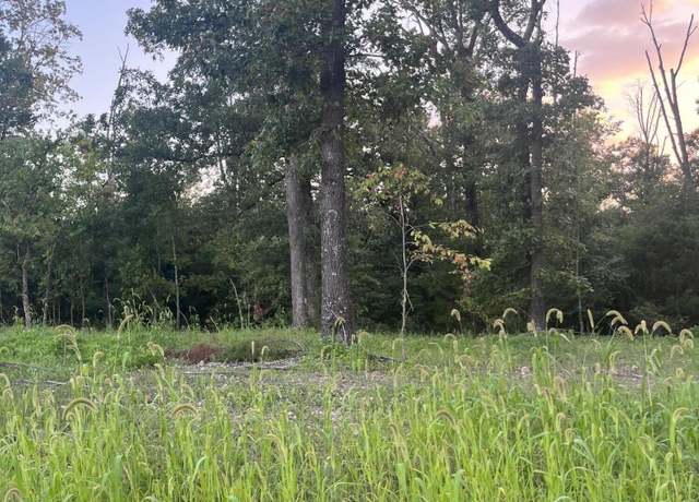 Property at 000 Coopers Rd, Pineville, MO 64856