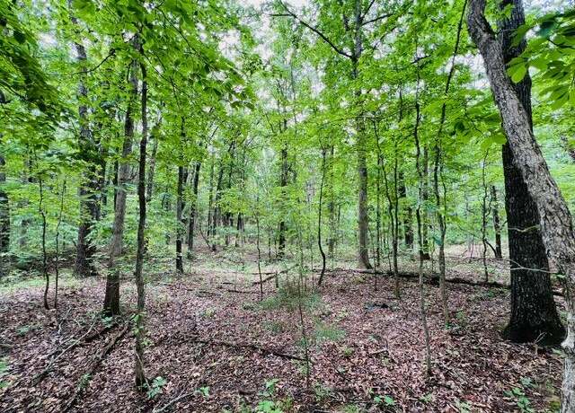 Property at 000 Boiling Springs Rd, Licking, MO 65542