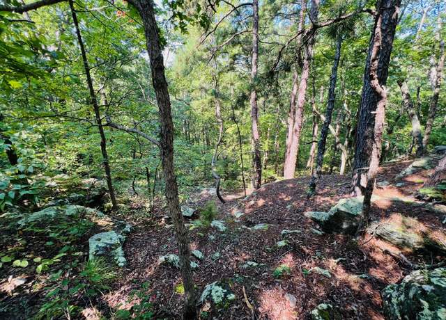 Property at 000 Boiling Springs Rd, Licking, MO 65542
