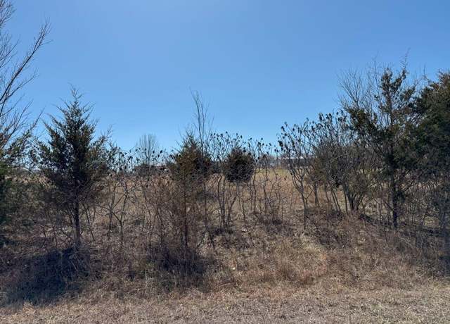 Property at Tbd Lot 59 Blockade Village North, Seligman, MO 65745