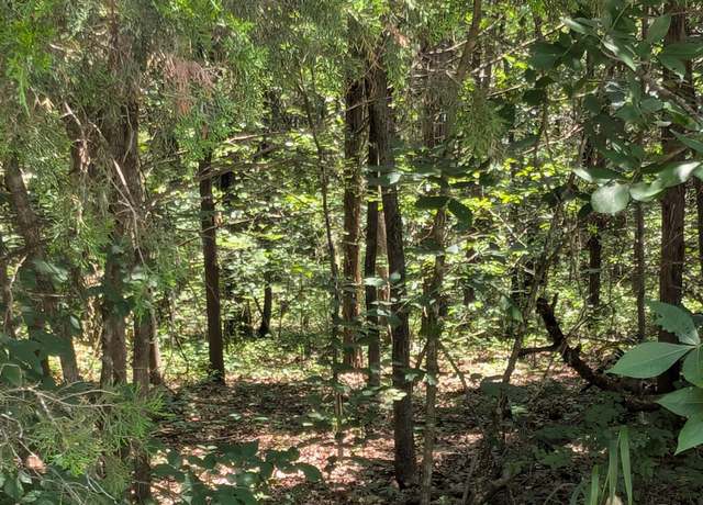 Property at 6 Lots Farm Road 1255, Shell Knob, MO 65747