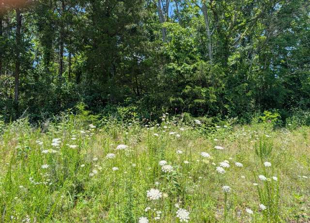 Property at Lot 140 Farm Road 1255, Shell Knob, MO 65747
