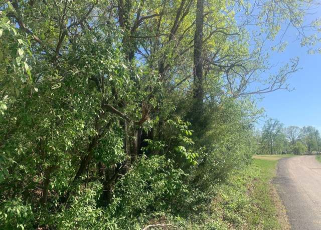 Property at 000 County Road 865, Isabella, MO 65676
