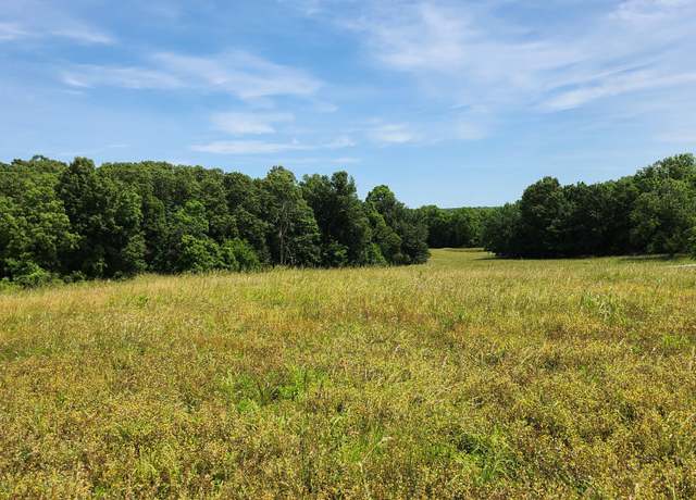 Property at Lot 9 N Farm Road 61, Walnut Grove, MO 65770