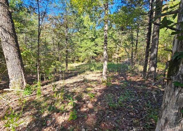 Property at 000 Rolling Hills Block 11 Lot 22, Theodosia, MO 65761