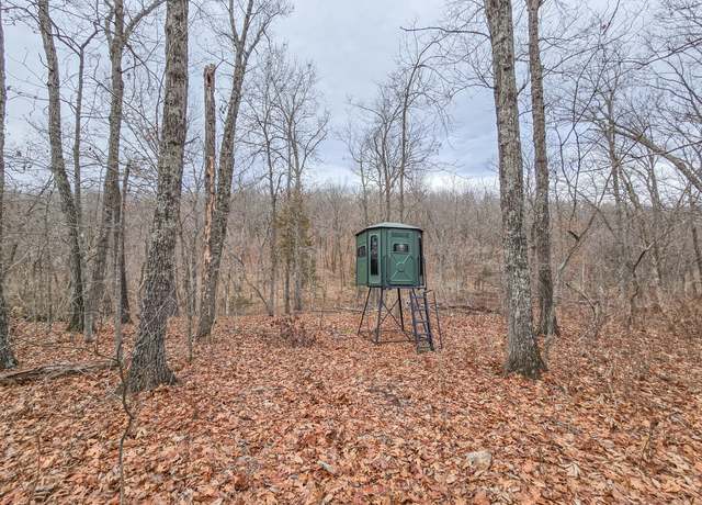 Property at 000 State Hwy W, Wheatland, MO 65779