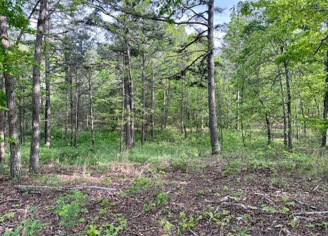 Property at 000 Couty Road 2660, Mountain View, MO 65548