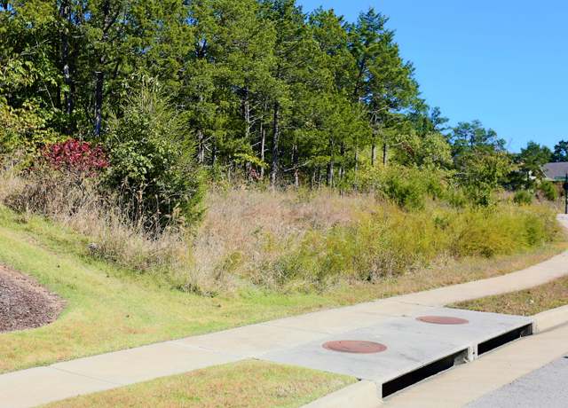 Property at Lot 54 Bayhill Ct, Branson, MO 65616
