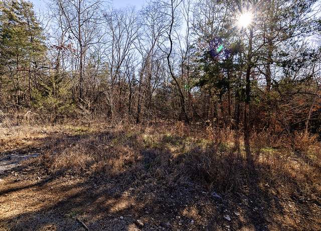 Property at Lot 4 Sandstone Rd, Merriam Woods, MO 65740