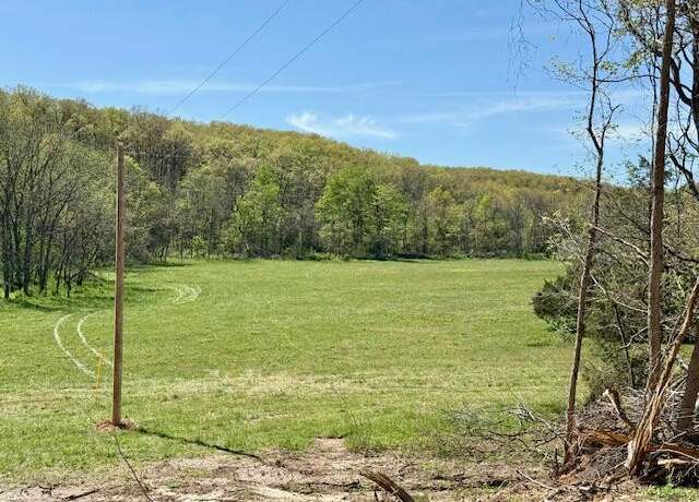 Property at 000 State Route O, Ava, MO 65608