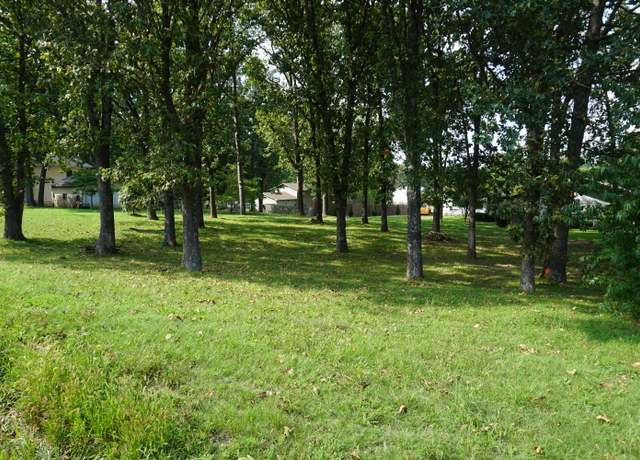 Property at 000 Joann Dr, West Plains, MO 65775