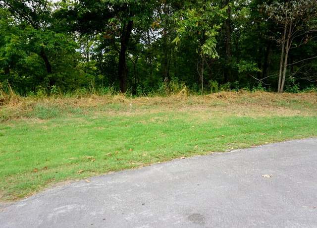 Property at Lot 11 Oak Bluff Rd, Branson, MO 65616
