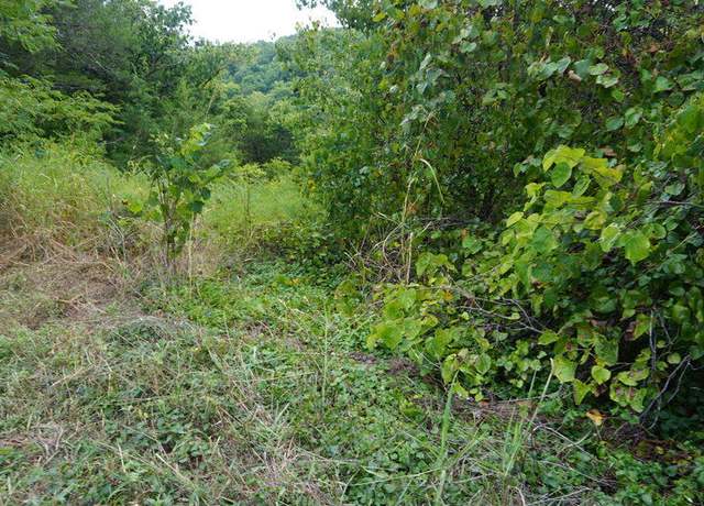Property at Lot 40 Cannon Ball Loop, Branson, MO 65616