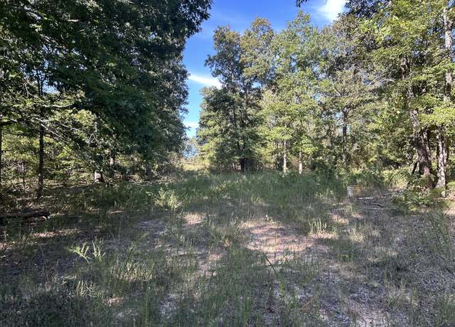 Property at 000 Ff-1, Doniphan, MO 63935