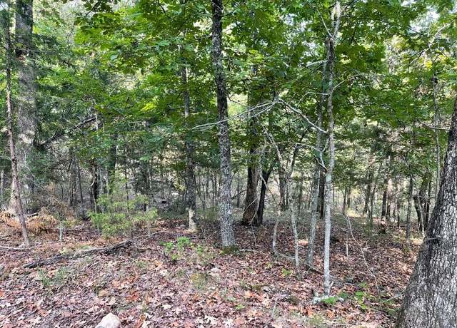 Property at Tbd Pine Hollow Rd, Protem, MO 65733