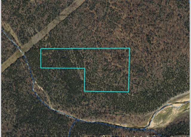 Property at 000 160 Hwy, Theodosia, MO 65761