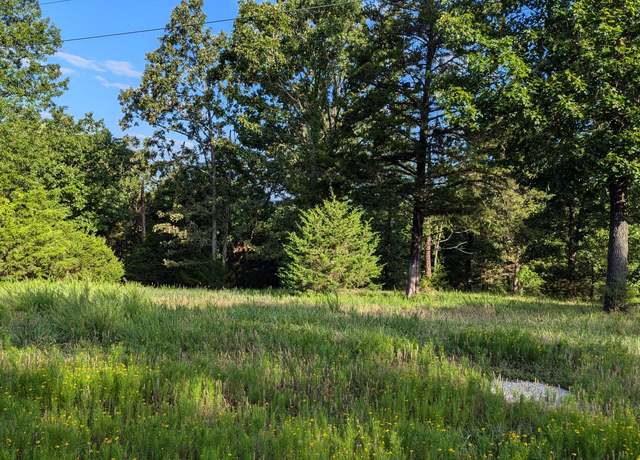 Property at 1145 Lake Point Rd, Kissee Mills, MO 65680