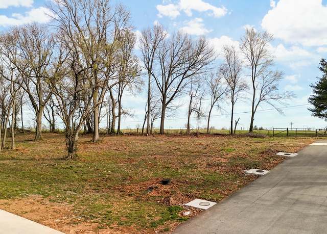 Property at Lot 4 Jeanne Dr, Mt Vernon, MO 65712