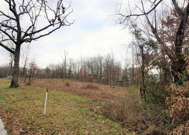 Property at 217-223 Utah Ave, West Plains, MO 65775