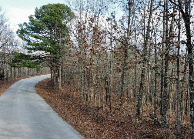 Property at 000 County Road 21-306, Van Buren, MO 63965