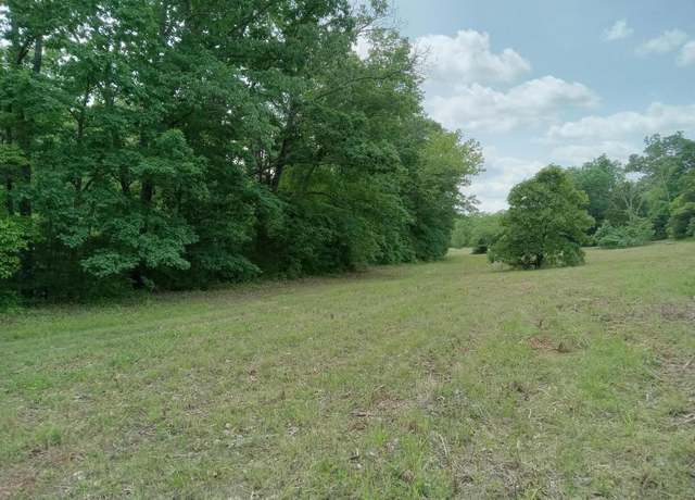 Property at 000 Box 110 Rr2, Mansfield, MO 65704
