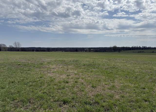 Property at 5470 W Republic Rd, Brookline, MO 65619