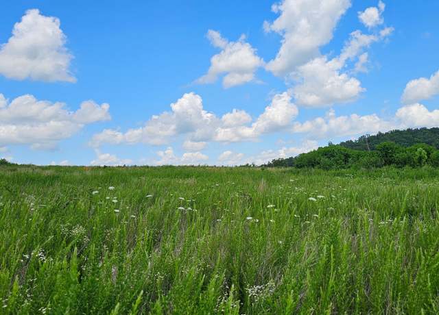 Property at 000 County Road Ac-350, Dora, MO 65637