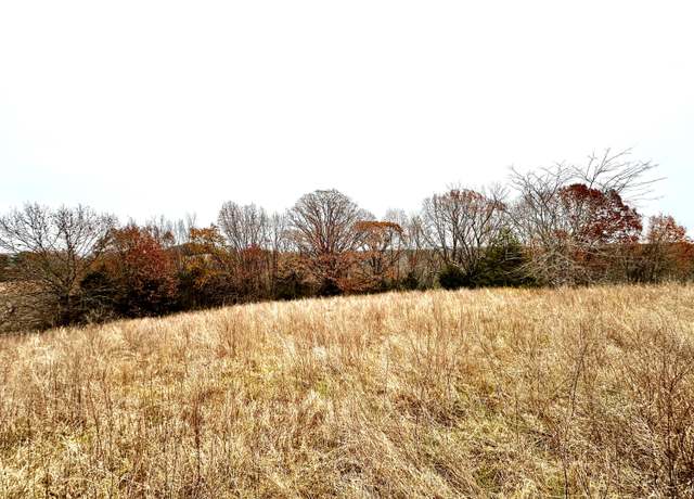 Property at 4300 State Highway 13, Lampe, MO 65681