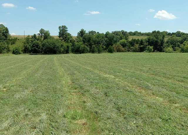 Property at 000 5 Cemetery Rd, Mansfield, MO 65704