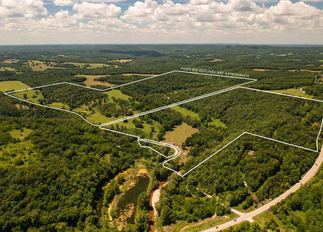 Property at Tbd 000 County Road 514, Ava, MO 65608