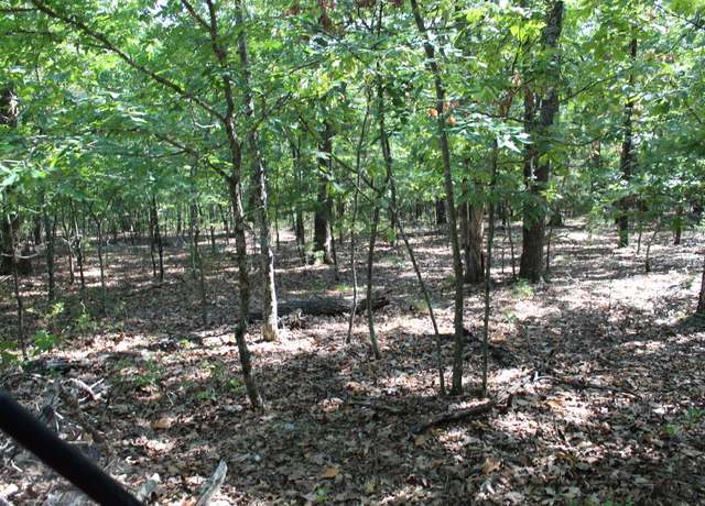 Property at 000 Lakeshore Rd Lot 41, Protem, MO 65733