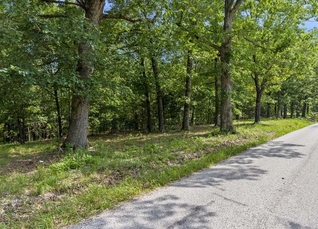 Property at Tbd Branson Mtn Vlg, Branson West, MO 65737
