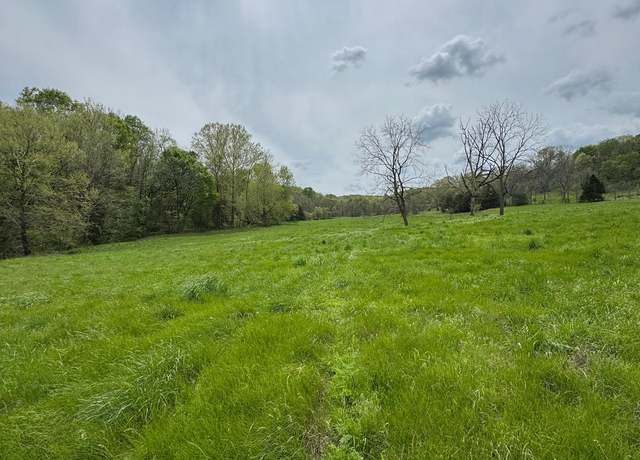Property at Tbd Miser Hollow Rd, Jane, MO 64856