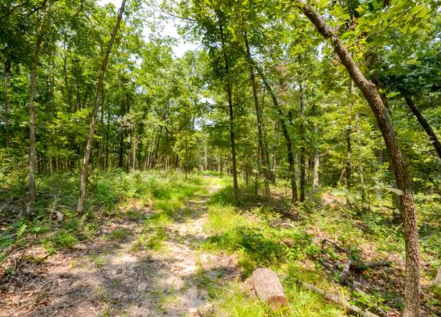 Property at 000 Us Highway 65, Cross Timbers, MO 65634