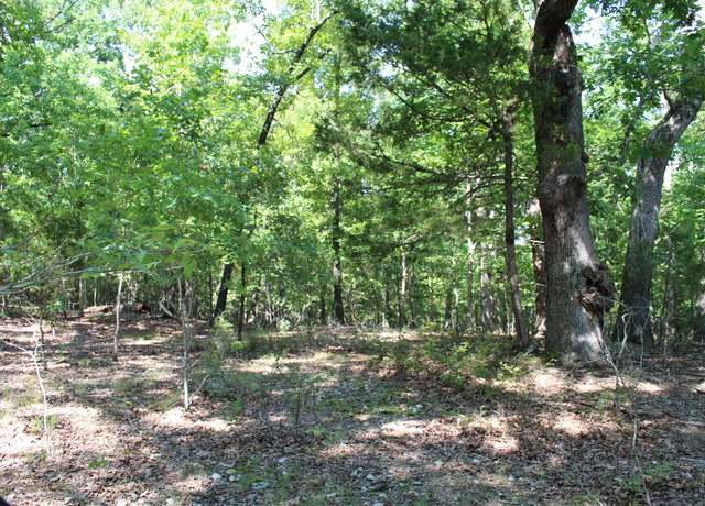 Property at 000 Lakeshore Rd Lot 10, Protem, MO 65733